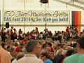 Bezirksmusikfest_Griessen (13)